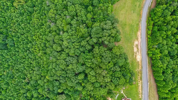 0 Preservation Drive, South Pittsburg, TN 37380