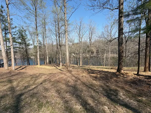 0 Canyon Run Road, Lewisburg, KY 42256