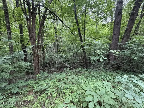 0 Fortunato Drive, Baneberry, TN 37890