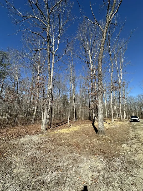 222 Sunset Bluff Way, Monteagle, TN 37356