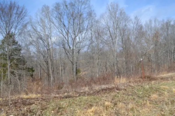 0 Hush Hollow Lane, Baxter, TN 38544
