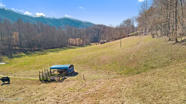 1013 Cloud Creek Rd, Rogersville, TN 37857