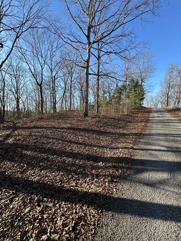 0 Snow Road, Big Sandy, TN 38221