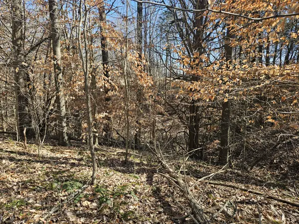 0 Hwy 70 #S, Woodbury, TN 37190