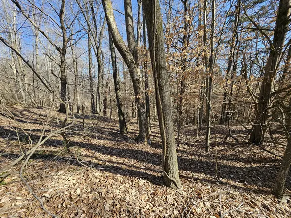 0 Hwy 70 #S, Woodbury, TN 37190