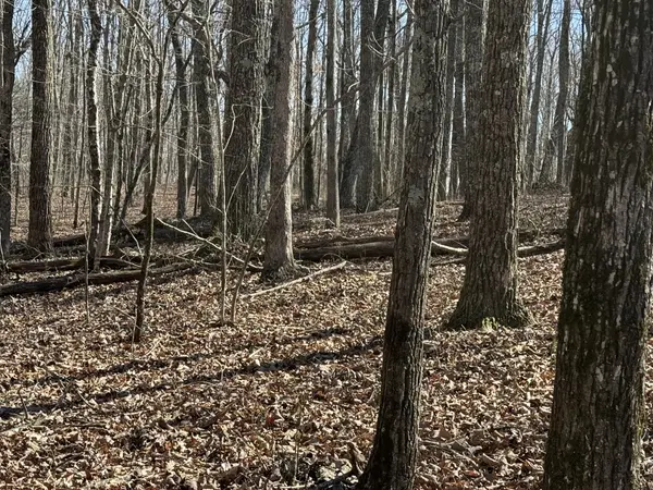 0 Timberwood Trce, Monteagle, TN 37356