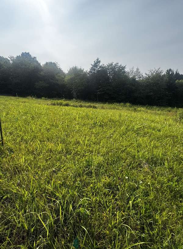 4050 Summit Dr, Greenbrier, TN 37073