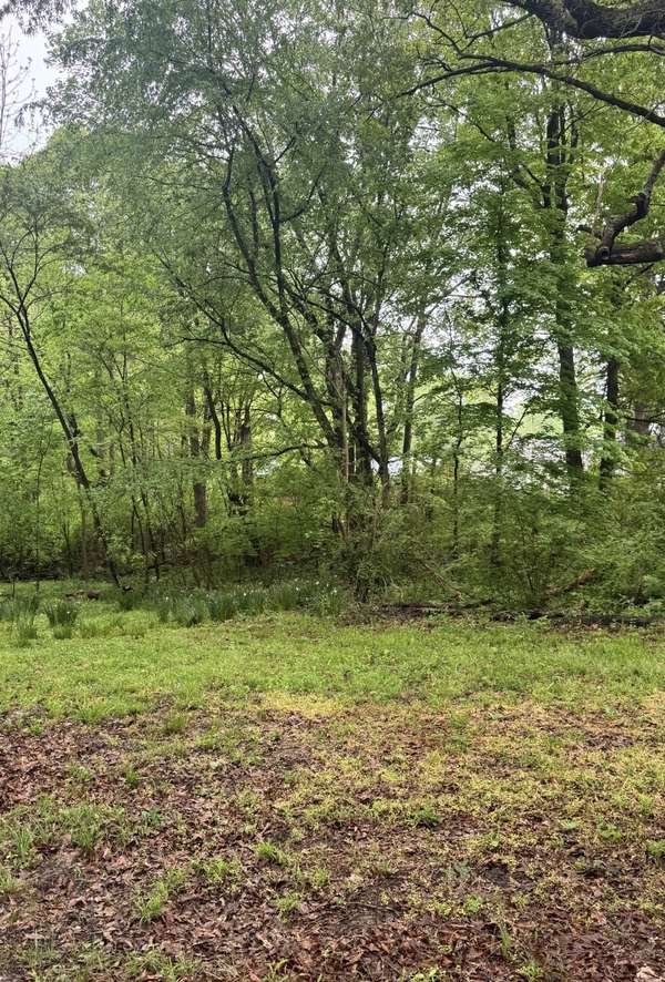193 Whitaker St, Camden, TN 38320