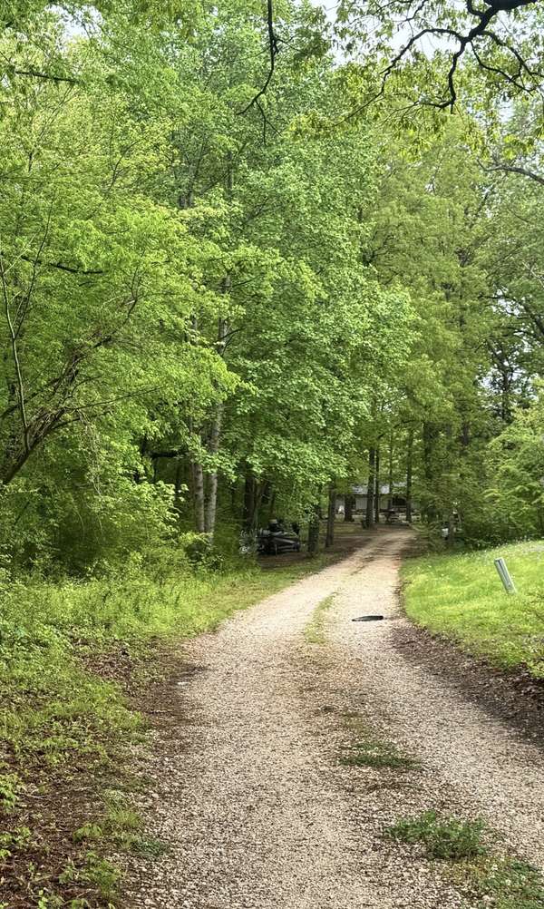 193 Whitaker St, Camden, TN 38320