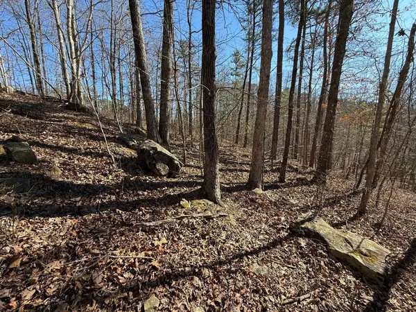 2 South Pittsburg Mtn Road, South Pittsburg, TN 37380