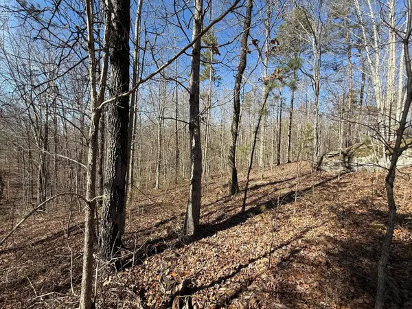2 South Pittsburg Mtn Road, South Pittsburg, TN 37380