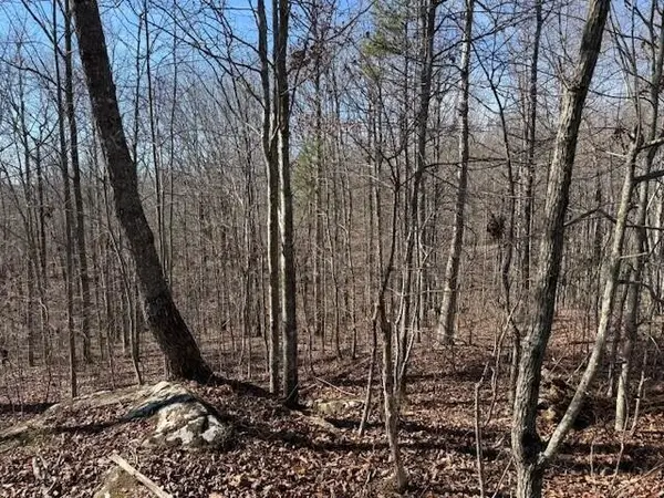 3 South Pittsburg Mountain, South Pittsburg, TN 37380