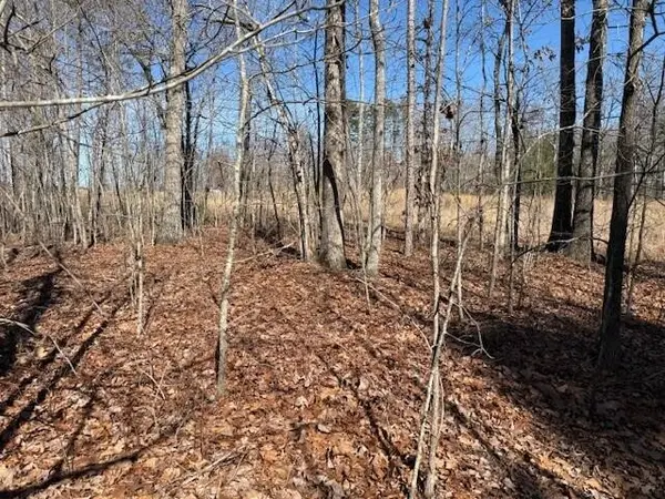 3 South Pittsburg Mountain, South Pittsburg, TN 37380