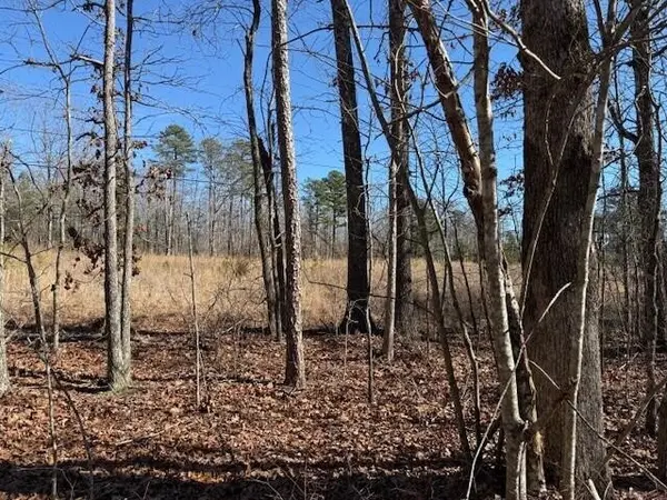 3 South Pittsburg Mountain, South Pittsburg, TN 37380