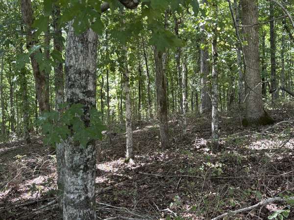 0 Middle Lick Creek Rd, Lyles, TN 37098