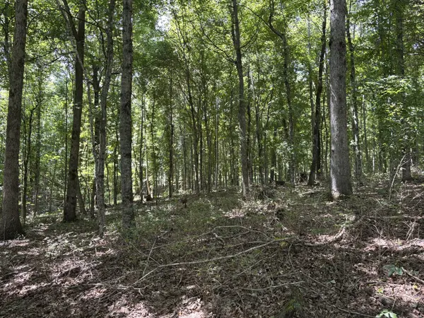 0 Middle Lick Creek Rd, Lyles, TN 37098