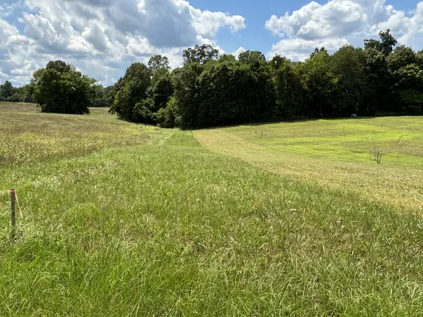 0 Middle Lick Creek Rd, Lyles, TN 37098