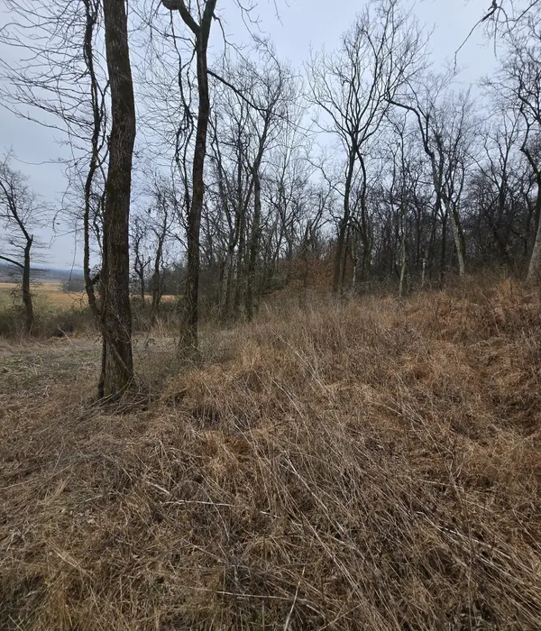 22241 Hwy 64, Pulaski, TN 38478