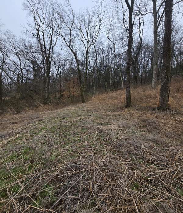 22241 Hwy 64, Pulaski, TN 38478