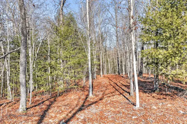 0 Proctor Place Road, Jamestown, TN 38556