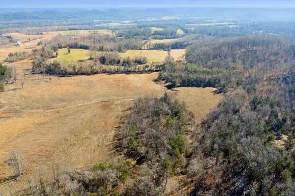 0 Mt Carmel Road, Decaturville, TN 38329