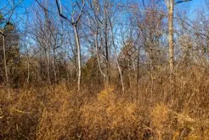0 White Oak Rd, Stewart, TN 37175