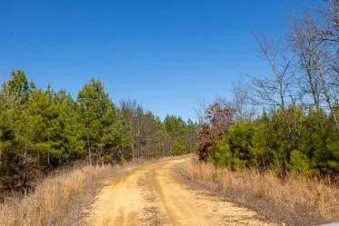 0 White Oak Rd, Stewart, TN 37175