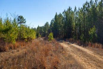 0 White Oak Rd, Stewart, TN 37175