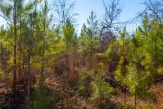 0 White Oak Rd, Stewart, TN 37175