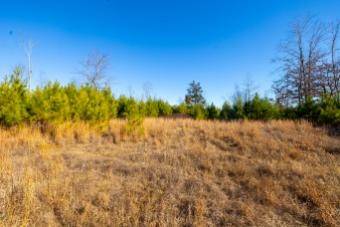 0 White Oak Rd, Stewart, TN 37175