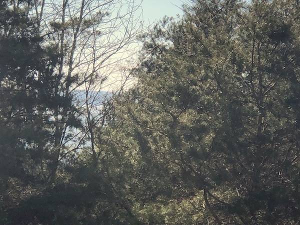 0 Turtle Point Lane, Waverly, TN 37185