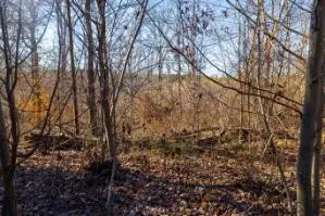 0 White Oak Rd, Stewart, TN 37175