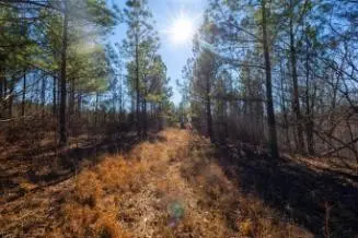 0 White Oak Rd, Stewart, TN 37175