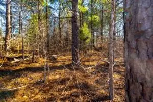 0 White Oak Rd, Stewart, TN 37175