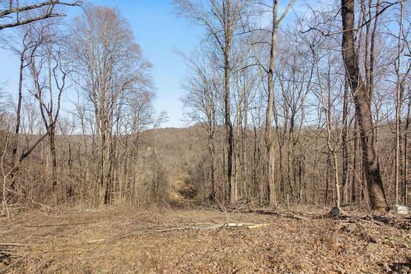 5076 Southpoint Ridge Road, Hampshire, TN 38461
