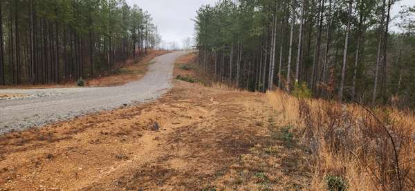 289 Center Ridge Dr, Linden, TN 37096