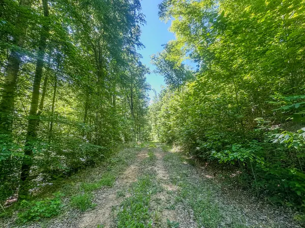 0 Mayberry Prong Rd, Linden, TN 37096