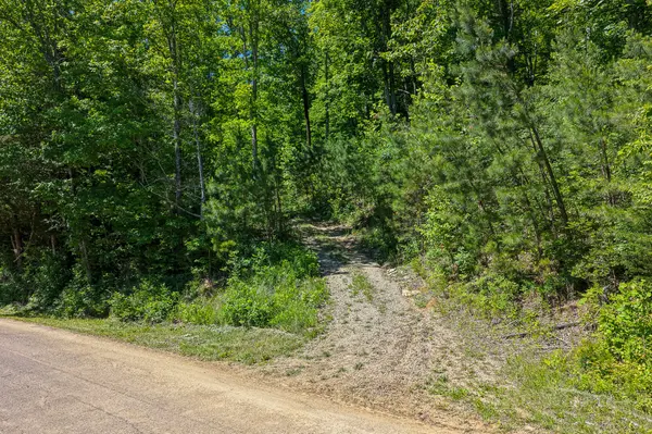 0 Mayberry Prong Rd, Linden, TN 37096