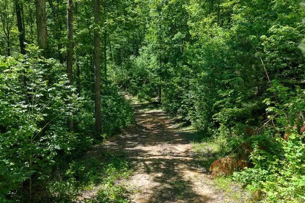 0 Mayberry Prong Rd, Linden, TN 37096