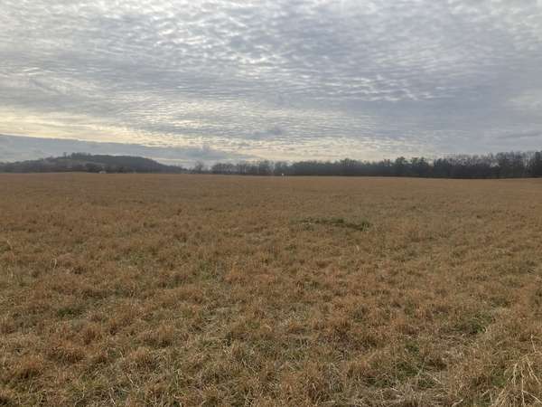 7 Southport RD, Mount Pleasant, TN 38474