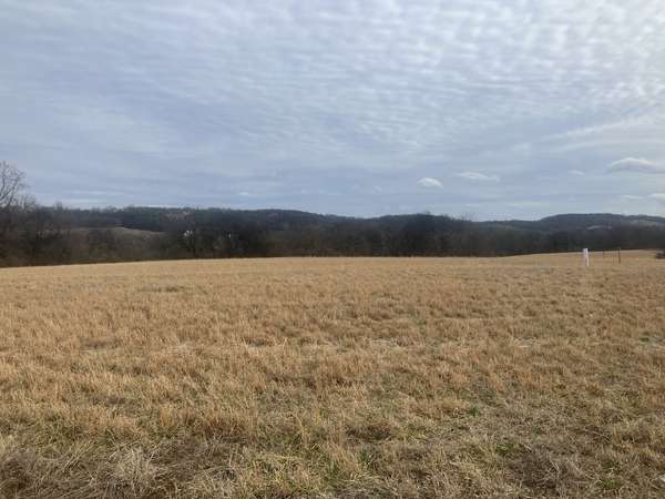 7 Southport RD, Mount Pleasant, TN 38474