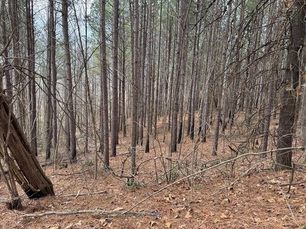 613 Williams Grove Rd, Camden, TN 38320