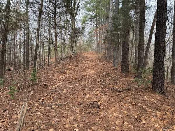 696 Williams Grove Rd #N, Camden, TN 38320