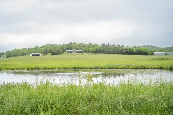 521 Coop Rd, Bell Buckle, TN 37020