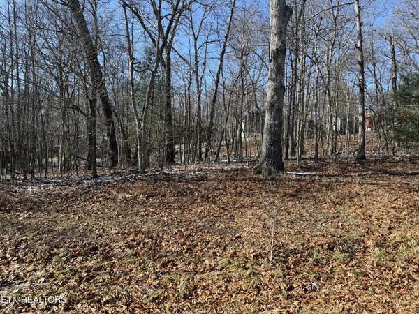 116 Kings Down Drive, Crossville, TN 38558