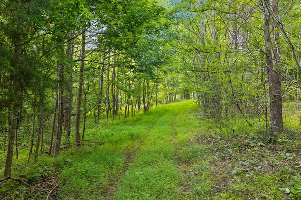 0 Mosley Ferry Rd, Ashland City, TN 37015