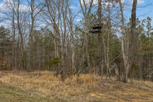 0 Mosley Ferry Rd, Ashland City, TN 37015