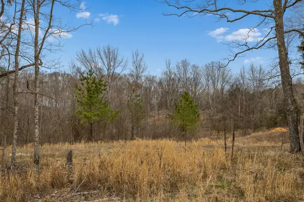 0 Mosley Ferry Rd, Ashland City, TN 37015