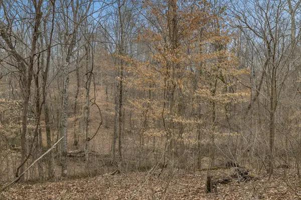 0 Mosley Ferry Rd, Ashland City, TN 37015