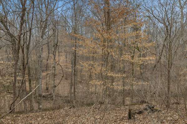 0 Mosley Ferry Rd, Ashland City, TN 37015